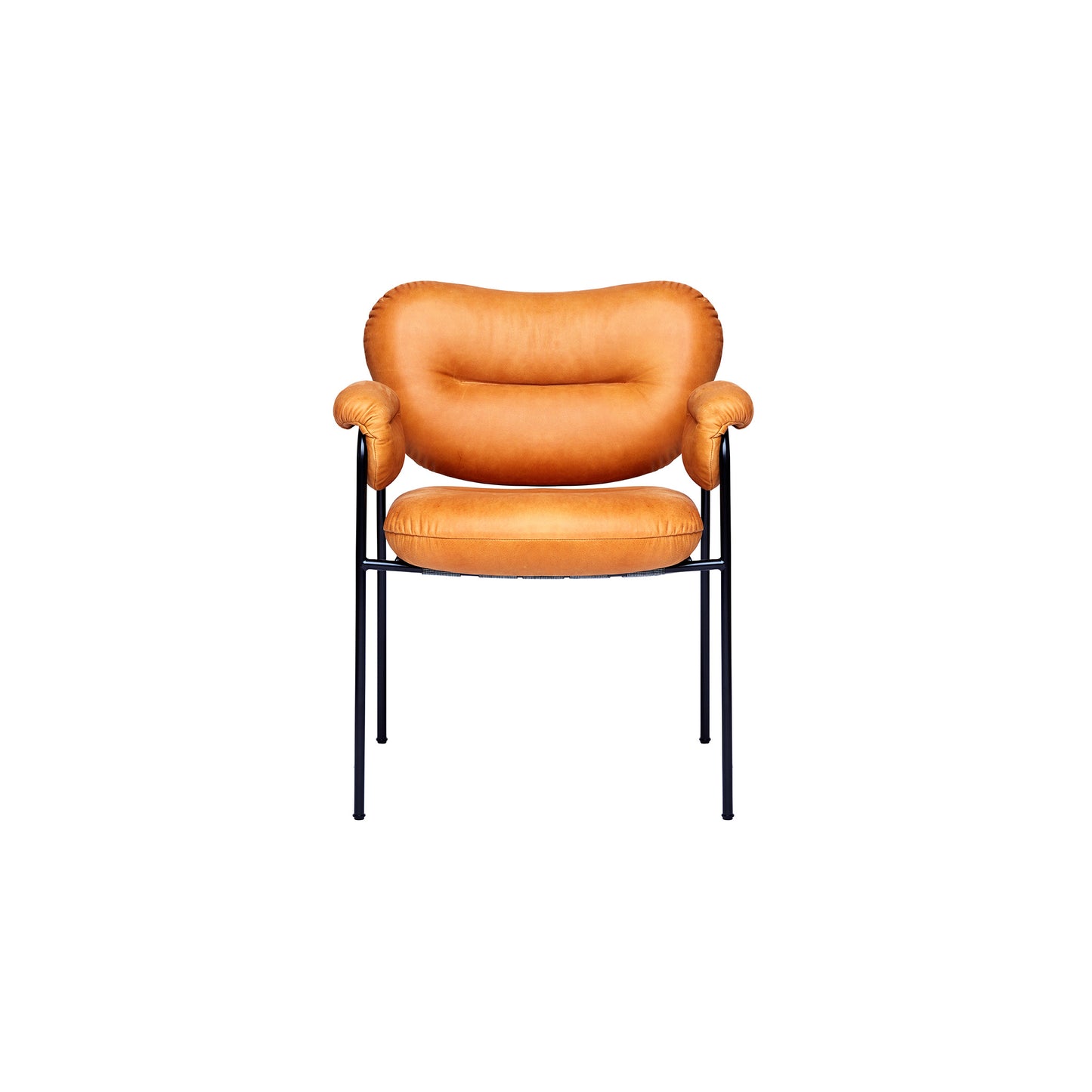 Bollo Dining Chair