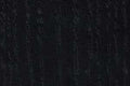 Black Stained Ash