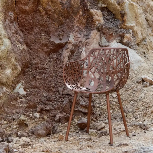 Fast Forest Limited Edition