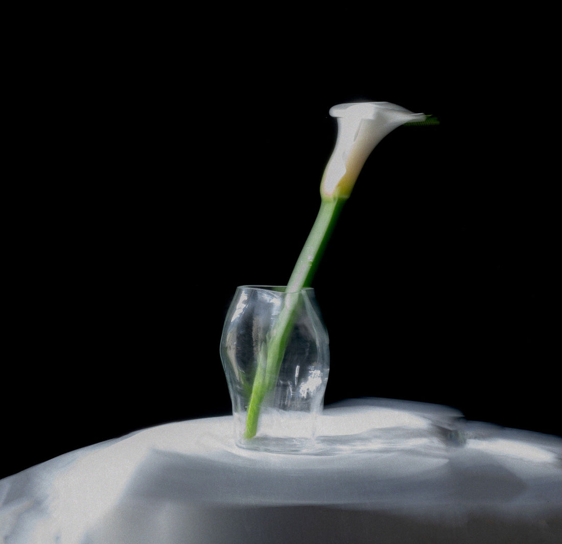 Introducing A STUDY 001–Blæhr Vase: A Study in Glass Reimagined - District Furniture