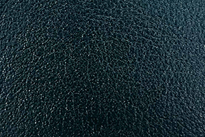 Barcelona Leather Forest
