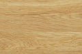 Oak