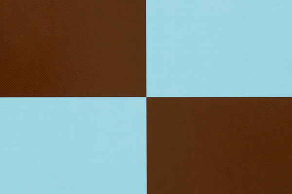 Light Blue/Chocolate


