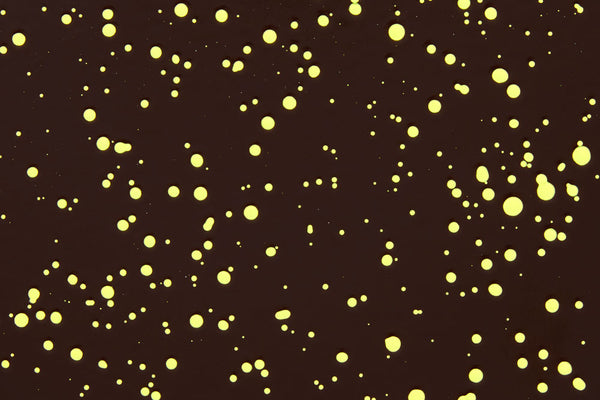 Brown / Pale Lime Splatter
