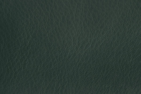 Dark Green Leather