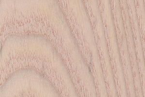 Ash / Putty