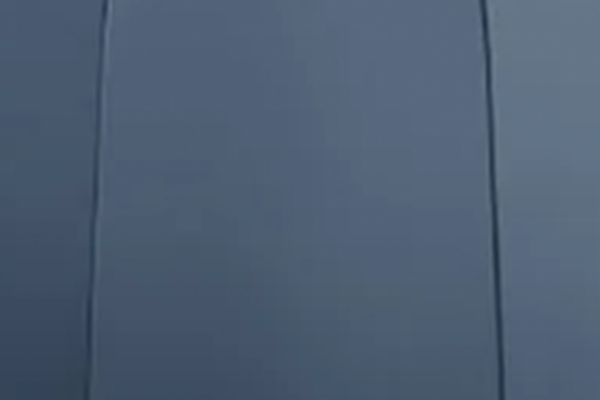 Blueberry / CU66165