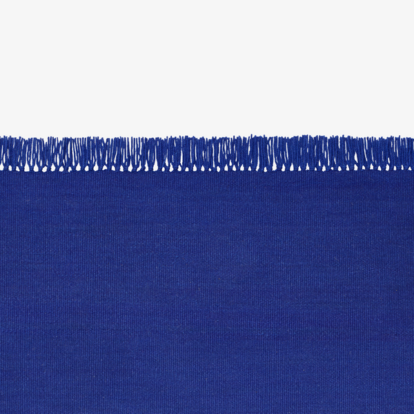Kelim Coloured Fringes Rug
