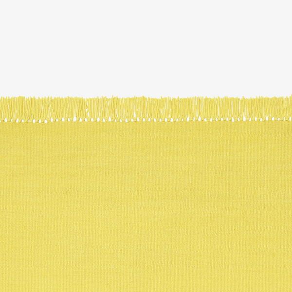 Kelim Coloured Fringes Rug