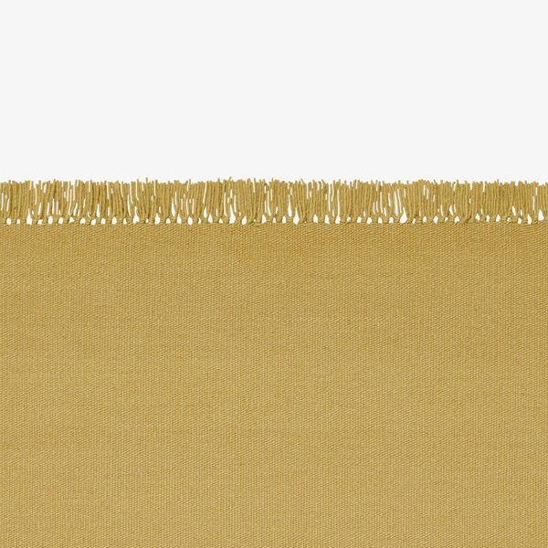 Kelim Coloured Fringes Rug
