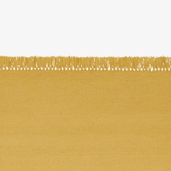 Kelim Coloured Fringes Rug