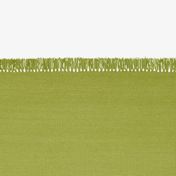 Kelim Coloured Fringes Rug