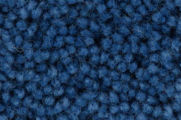Duck Blue
