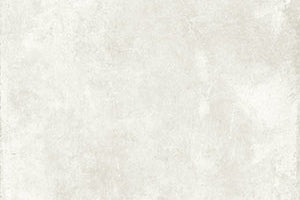 Neve Snow