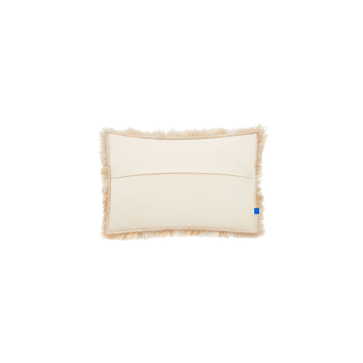 Monster Cushion