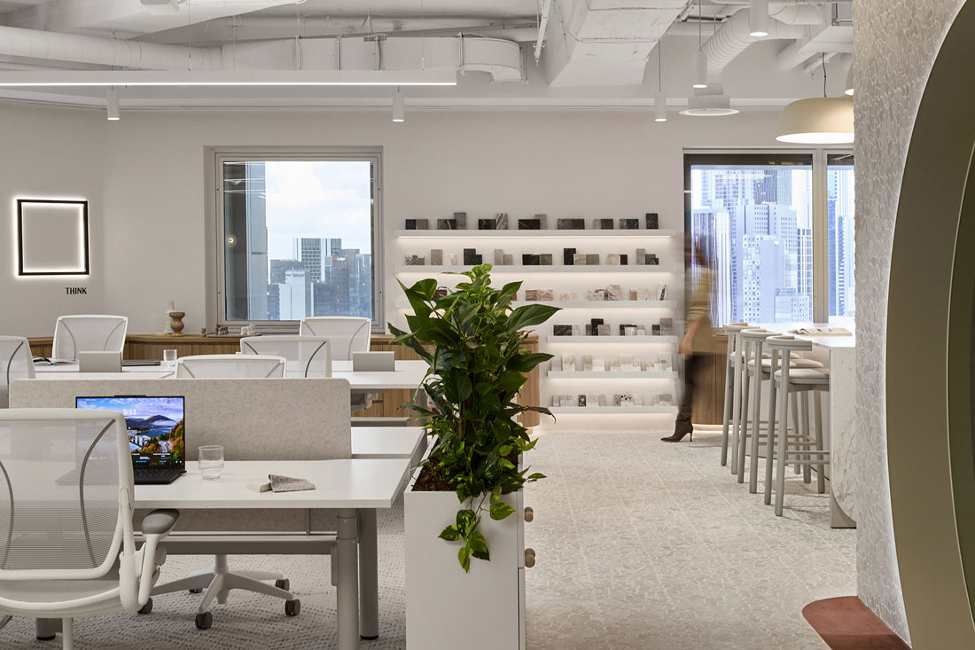 McCormack & Studio 103 Head Office – District Furniture