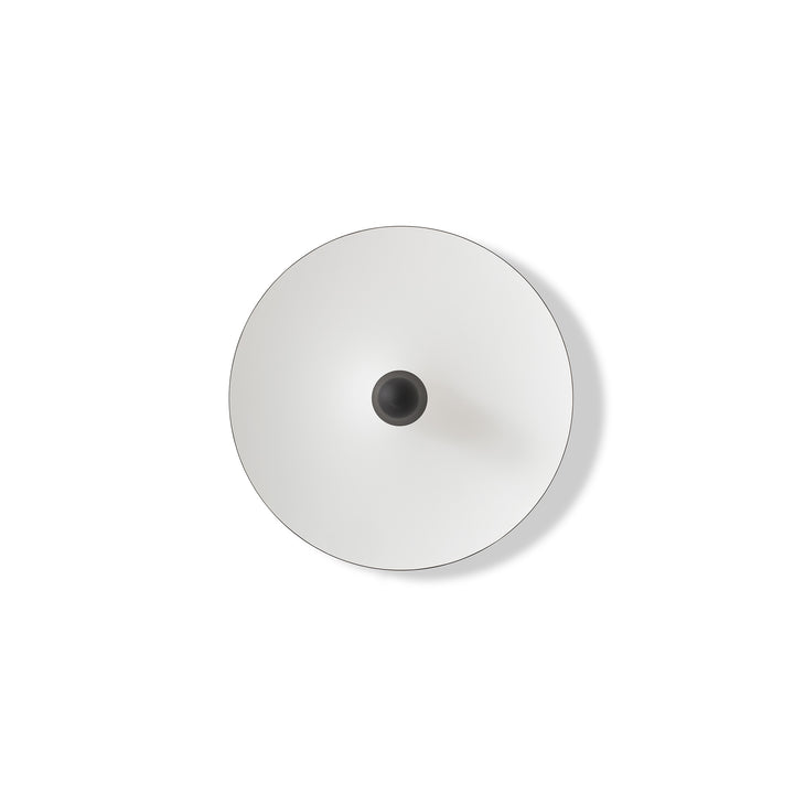 Kantarell Wall & Ceiling Lamp