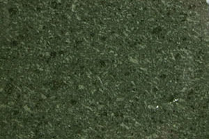 PL03 Forest