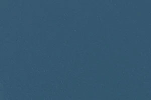 Duck Blue