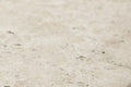 Unfilled Travertine