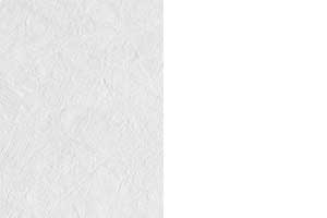 White Tyvek / White Base