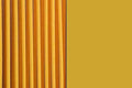 Yellow Oiled Beech