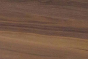American Walnut