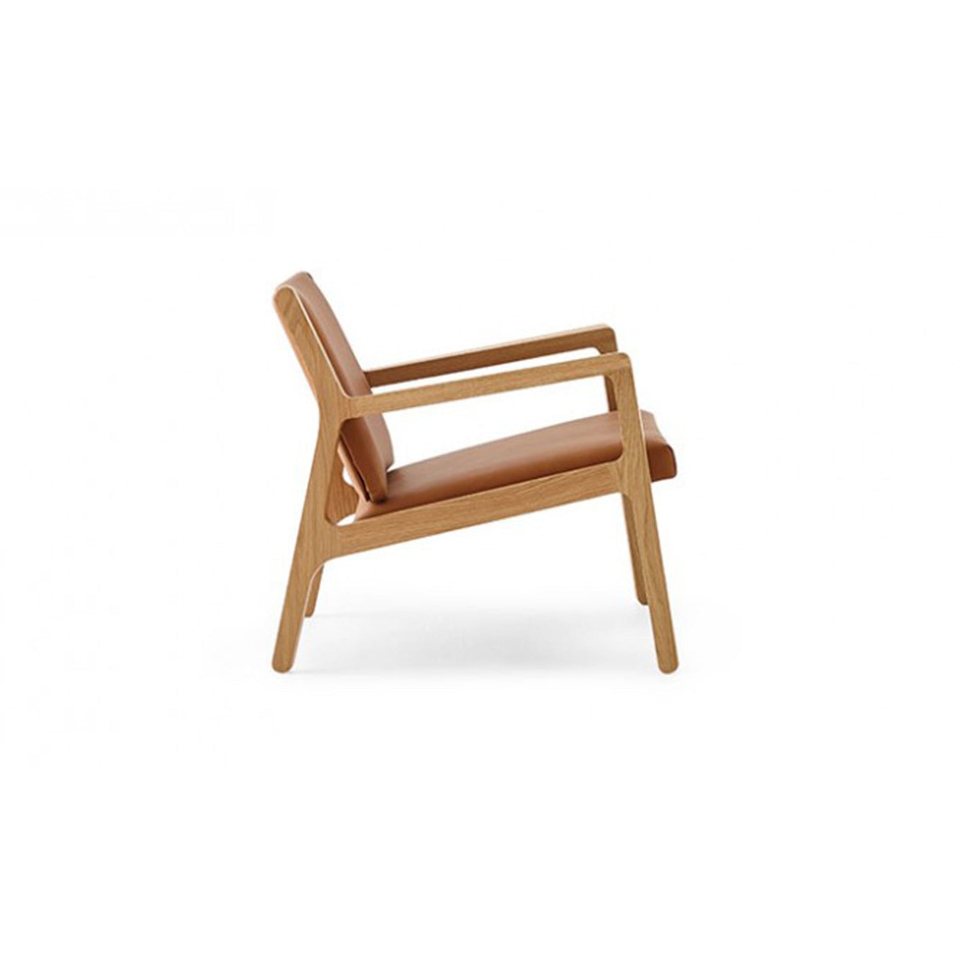 Ari Lounge Chair - District Furniture