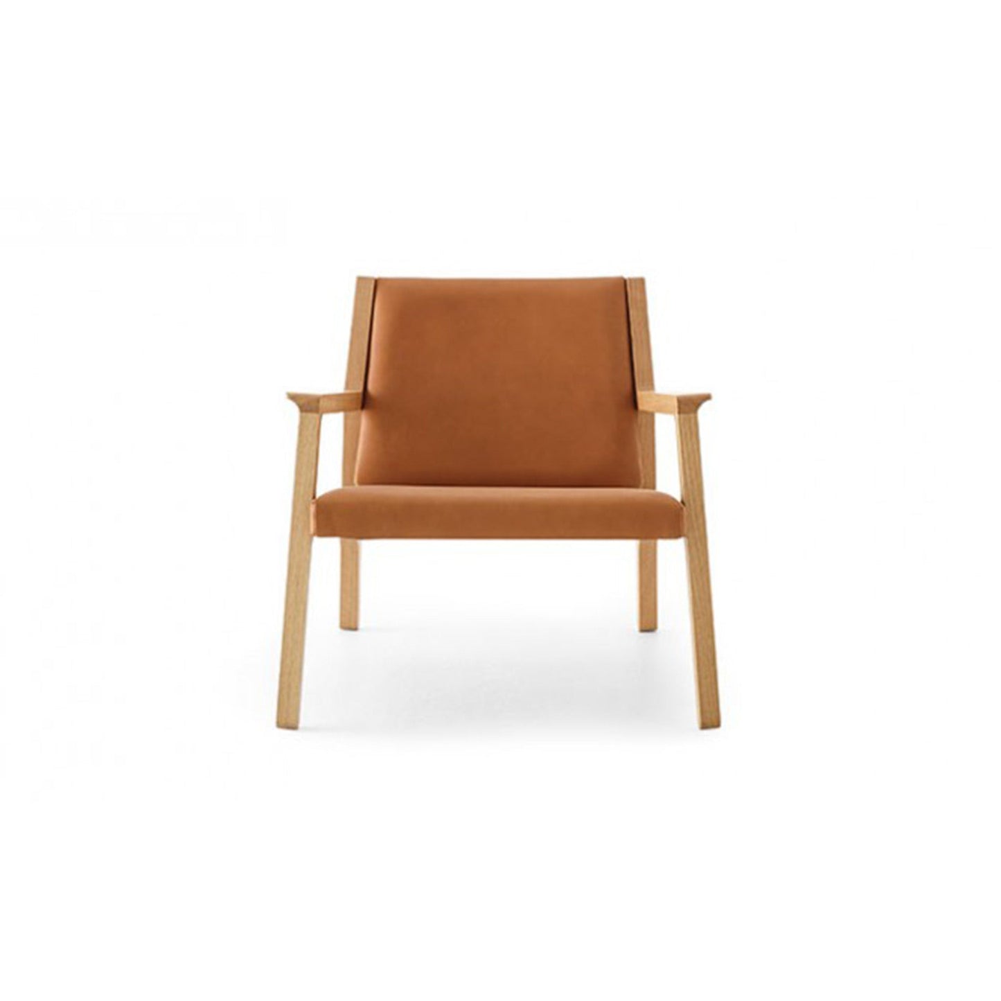Ari Lounge Chair - District Furniture