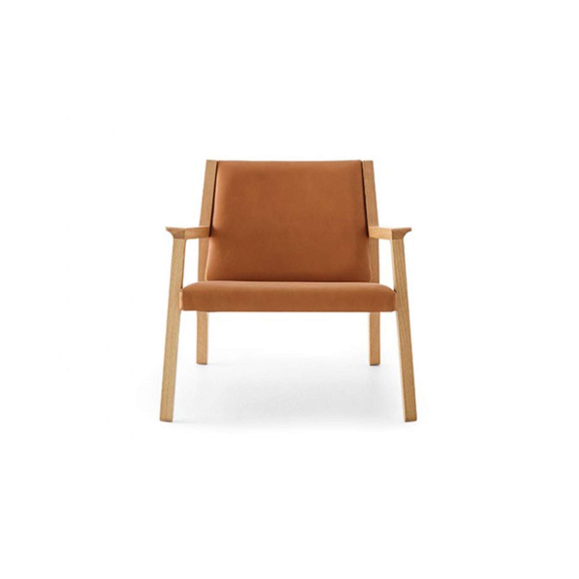 Ari Lounge Chair - District Furniture