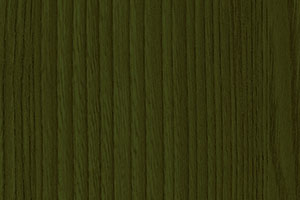 Ash Green