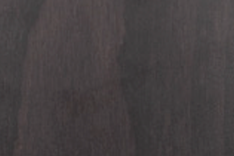 Black Beech