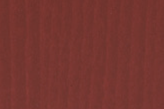 Dark Red Beech