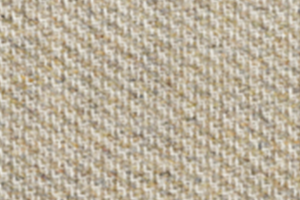 Camira Revolution