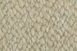 Sand Tortora