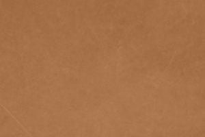 Sørensen Dunes® Camel 21004