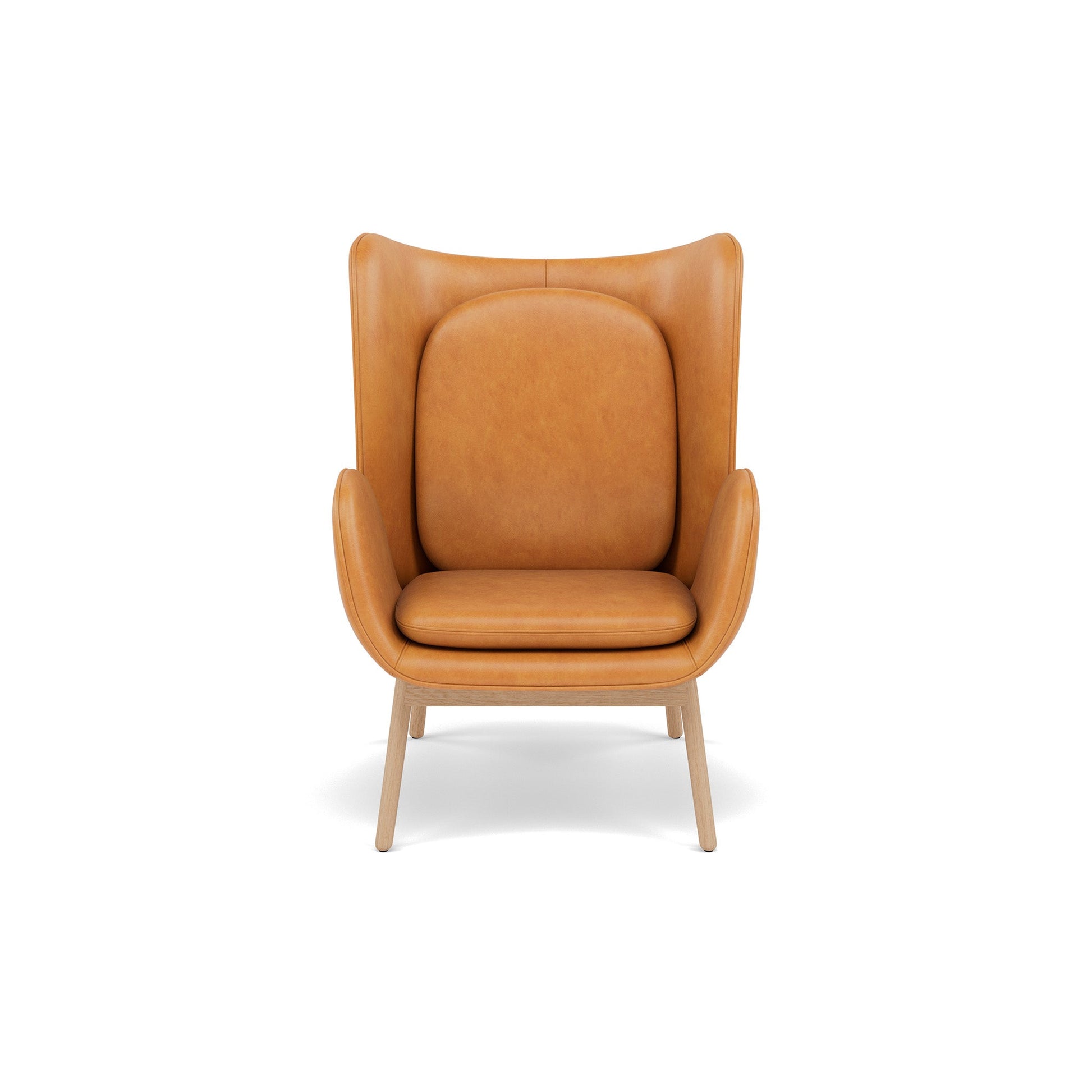 Embrace Lounge Chair - District Furniture