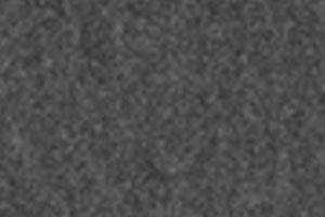 Felt F008
