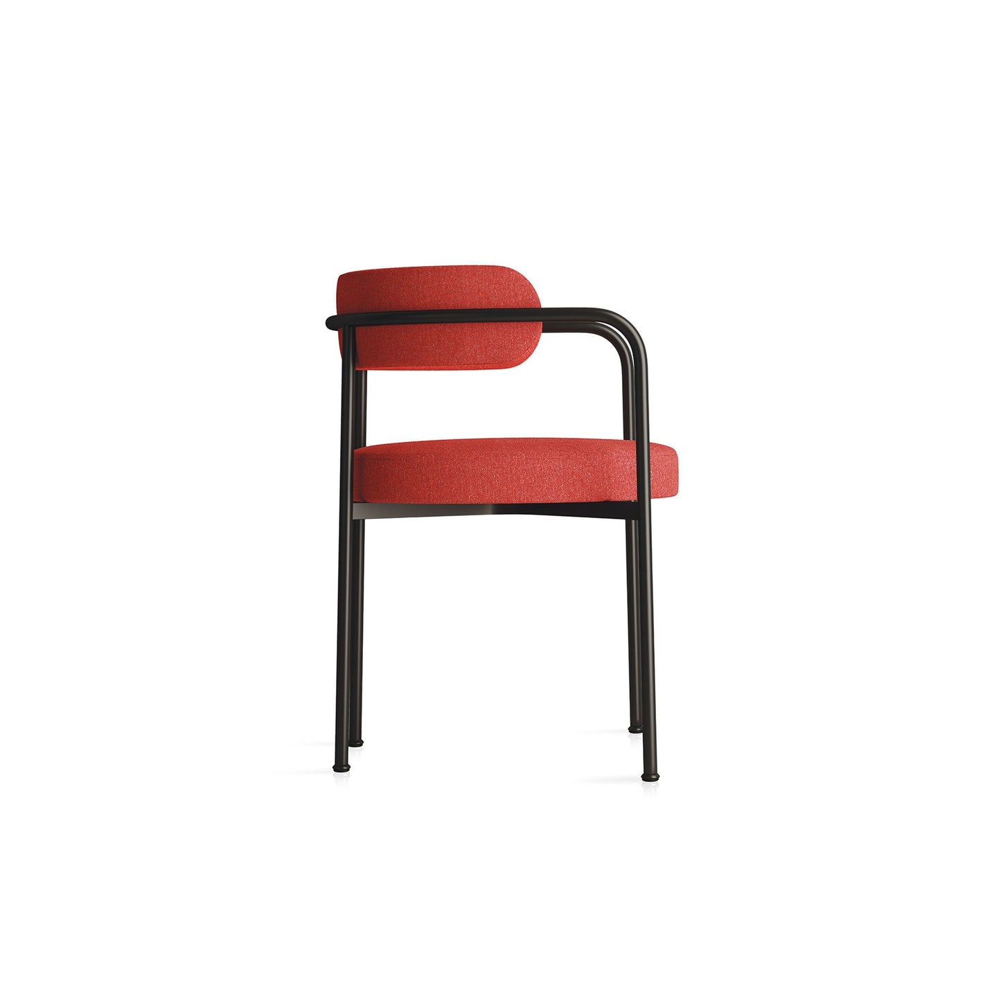 Giotto Armchair - District Furniture