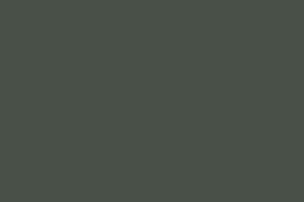 Glossy Lacquered Caligo Green