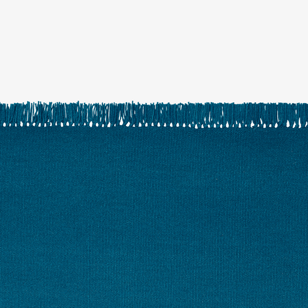 Kelim Coloured Fringes Rug - District Furniture