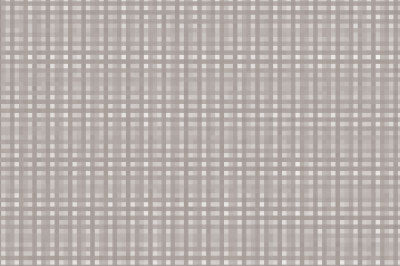 Mesh R011