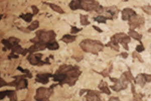 Mixed Cork