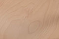 Natural Beech
