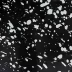 Splatter Black & White