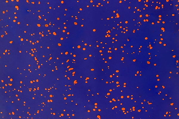 Blue / Orange Splatter