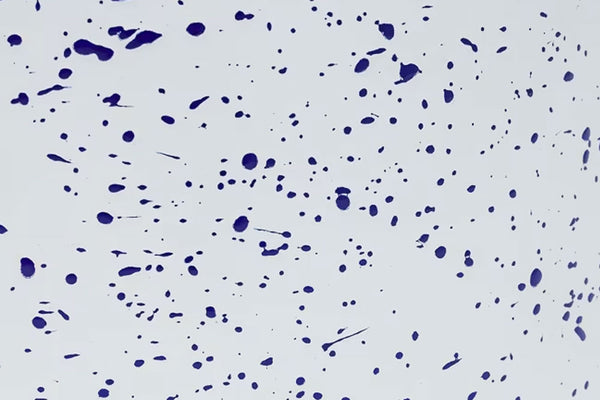 White / Blue Splatter