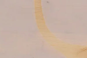 Sycamore / Soft Lilac