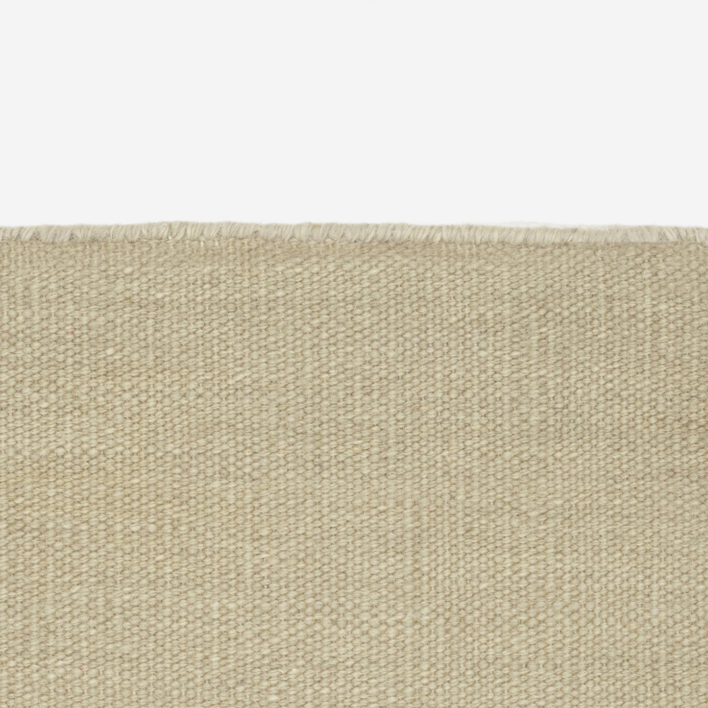 Vintage Without Fringes Rug - District Furniture