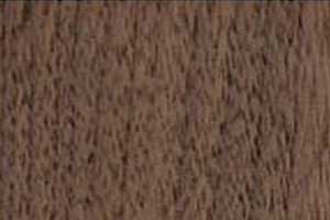 Walnut Stained Beech